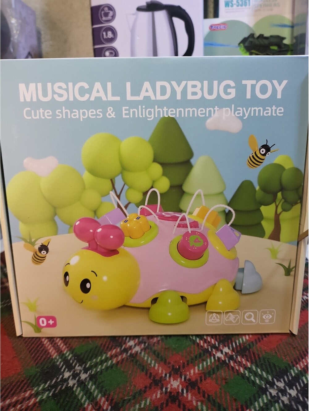 Musical Ladybug Toy